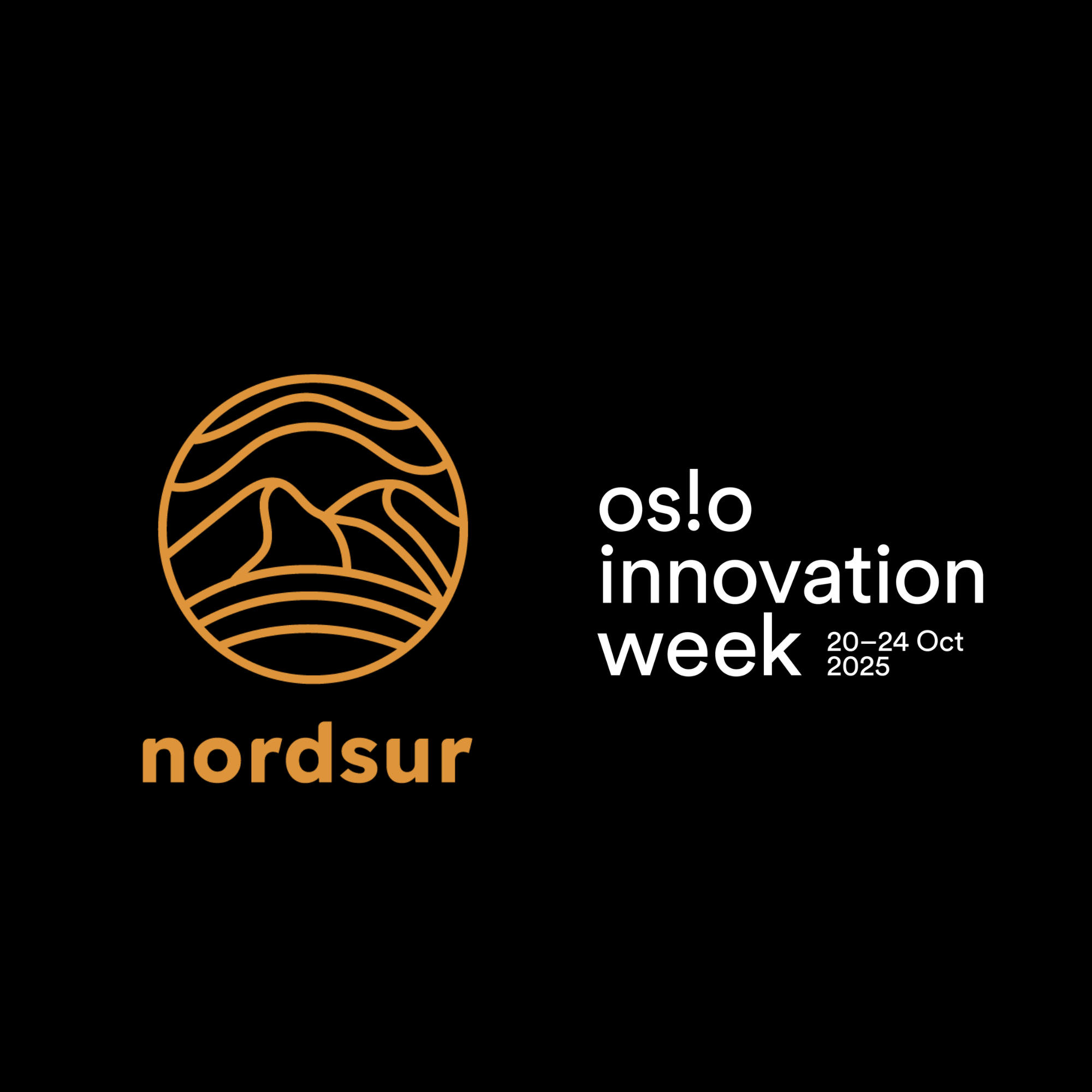Nordsur brand visual