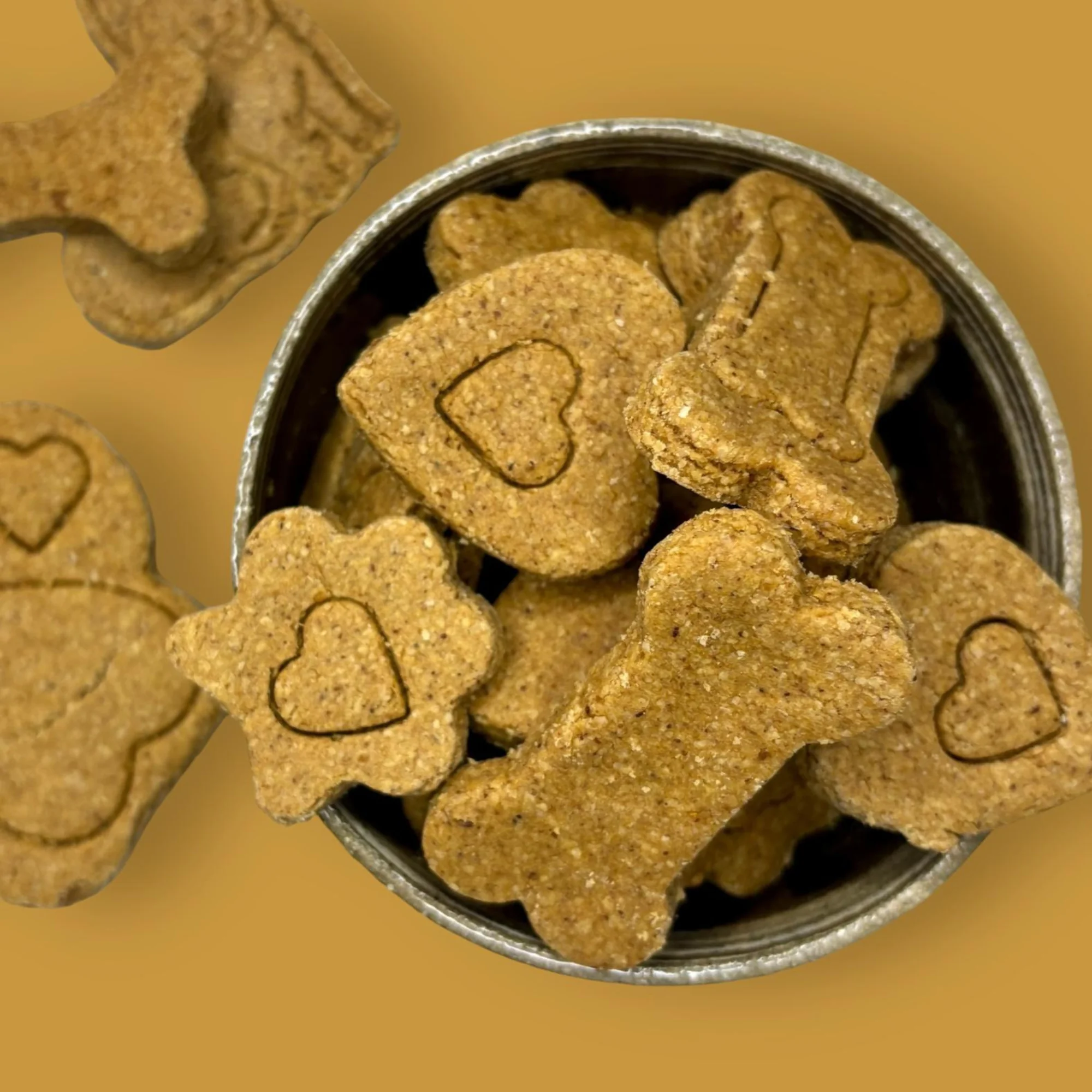 Gourmet Dog Bakeri product photography